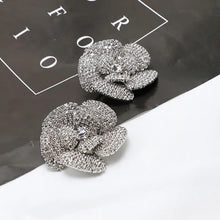 Cargar imagen en el visor de la galería, Aretes flores critales plata
